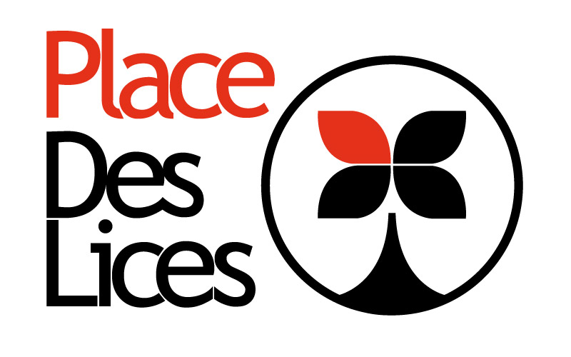 Charte graphique pour Place Des Lices, projet d'étude, Master 1, Ingémédia.
